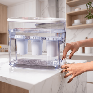 Dispensador de agua